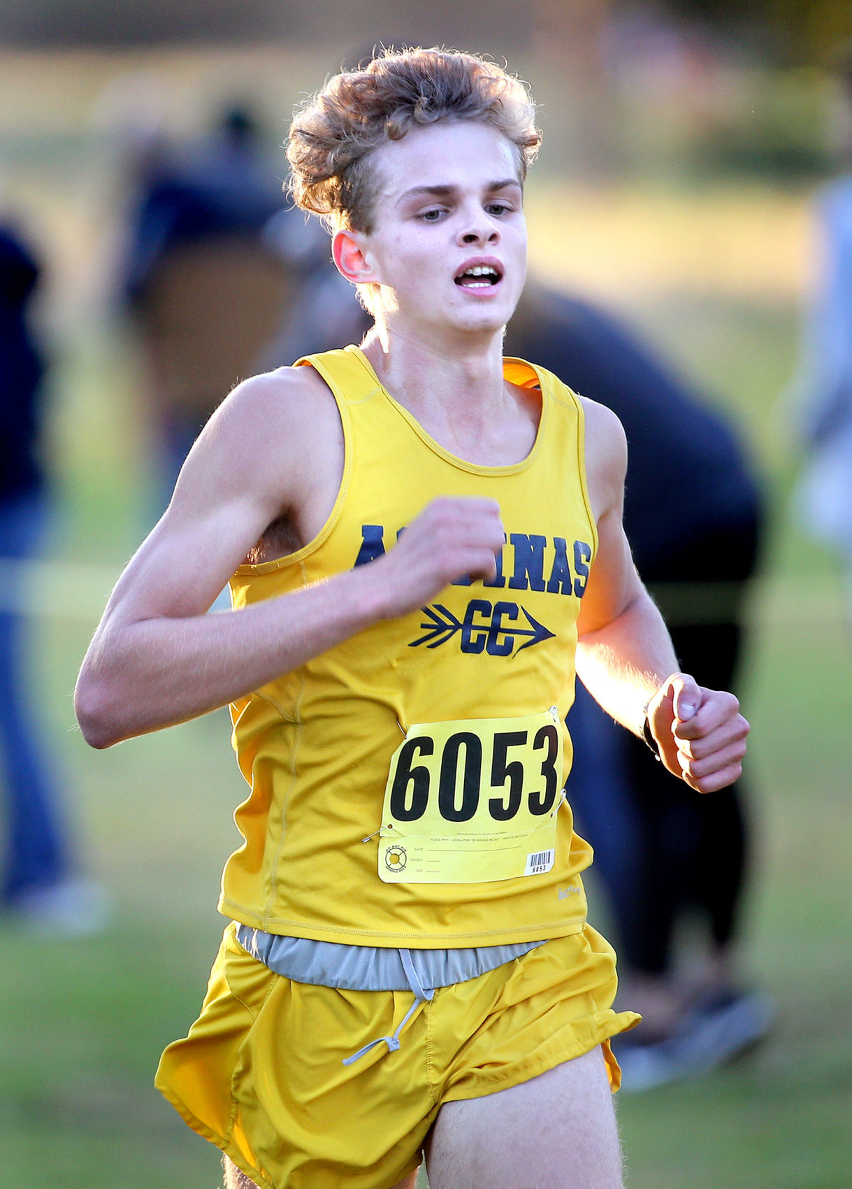 October 17: MVC Cross Country Championships